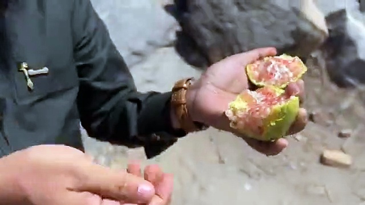 তায়েফে ১৩০০ বছর আগের মসজিদ কেমন ছিল। আব্দুল হাই সাইফুল্লাহ  |   মাসজিদে আলী রাদিয়াল্লাহু আনহু | hajj 2022