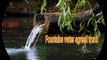 ঝর্ণার পানি সম্মত ট্রাঙ্ক / Fountains water agreed trunk #beautiful #FLS608 #waterfalls