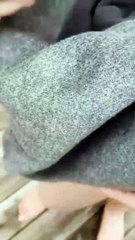 Animal Funny Videos: Funny Animal's | Thug Tohid #shorts