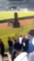 Animal Funny Videos: Funny Animal's | Thug Tohid #shorts