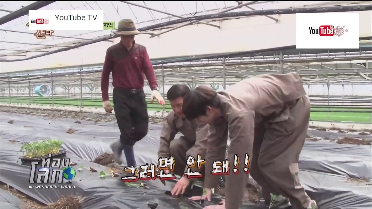 ท่องโลก ชุด Wonderful World ตอน ต้นกล้าบล็อคโคลี่
