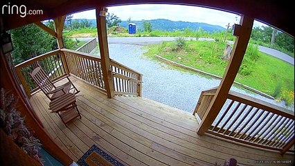 Bear Cubs Wrestle on Front Porch