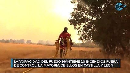 La voracidad del fuego mantiene 20 incendios fuera de control, la mayoría de ellos en Castilla y León