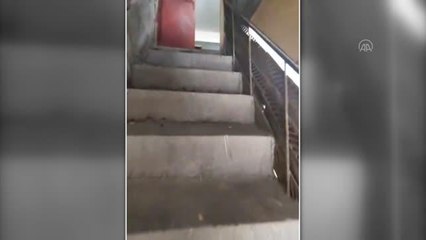 Kırıkkale'de bir dernekte dövüştürülen 46 horoz koruma altına alındı