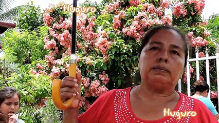 Arrastrado por la corriente de un arroyo