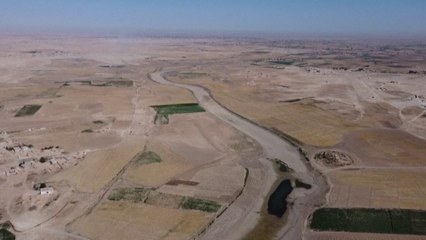 بسبب الجفاف.. مجاعة وشيكة تهدد مناطق في سوريا