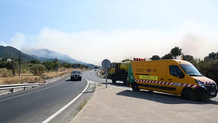 Europa occidental, asfixiada por las altas temperaturas y los incendios