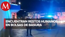Encuentran cuatro cuerpos ‘embolsados’ en sector turístico de Guaymas, Sonora