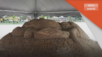 Alam Sekitar | UMT anjur program selamatkan penyu