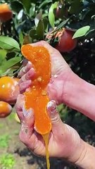 OMG  so juicy #usa #asmr #fruit