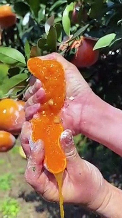 OMG  so juicy #usa #asmr #fruit
