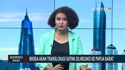 Pemilik Tak Miliki Izin, BKSDA Jateng Akan Pulangkan Kembali Satwa Liar Dilindungi ke Papua Barat
