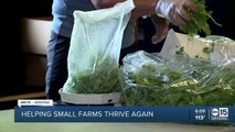 A local farm CO-OP helps keep small farms in Arizona in business