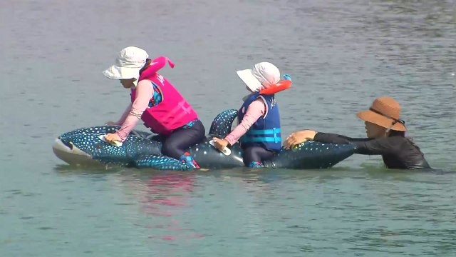 삼복더위 피해 바다로...해수욕장 피서객 발길 이어져 / YTN
