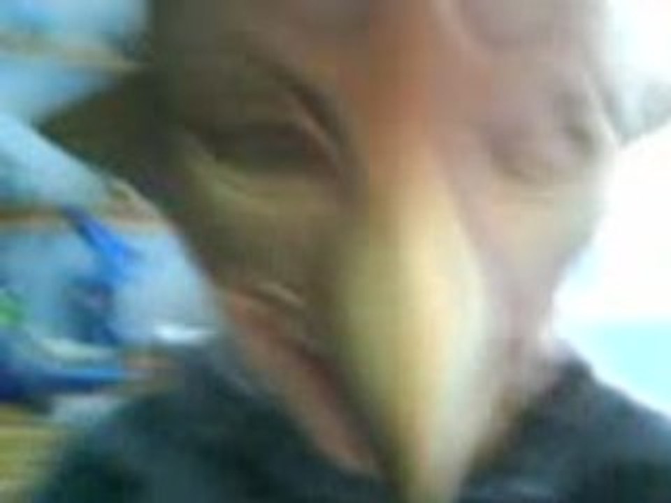 tibo mdr