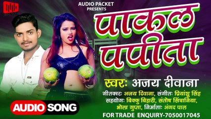 #Ajay Deewana Yadav - पाकल पपीता ll Latest Bhojpuri song 2022 ll Pakal Papital ll #Audiopacket