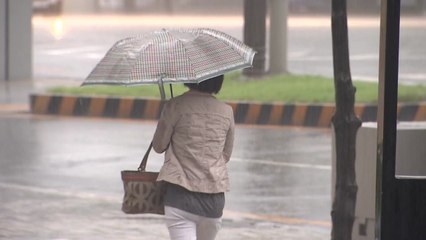 [날씨] 무더위 속 소나기...내일 전국 장맛비 / YTN