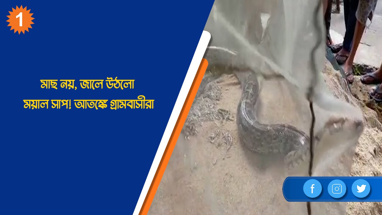 মাছ নয়, জালে উঠলো ময়াল সাপ! আতঙ্কে গ্রামবাসীরা|...