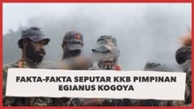 Deretan Fakta KKB Eranya Egianus Kogoya