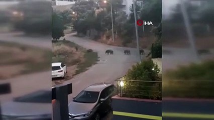 Görüntüler Bursa’dan! İlçe merkezine indiler