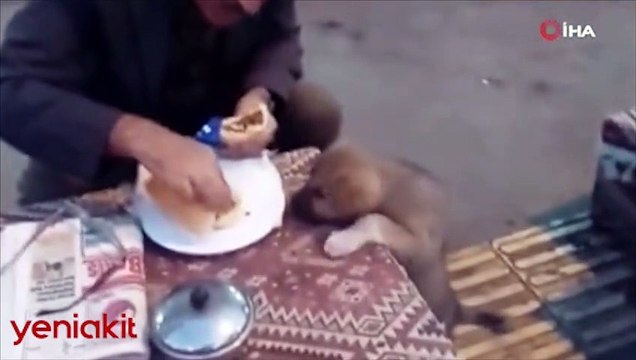 Ardahan'da yürekleri ısıtan görüntü! Yemeğini sokak köpeğiyle paylaştı