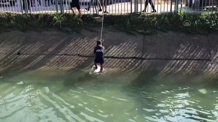 Adana'da korkunç olay! Sulama kanalında bulundu