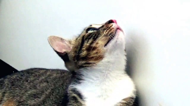 Yes, I know I Am Photogenic