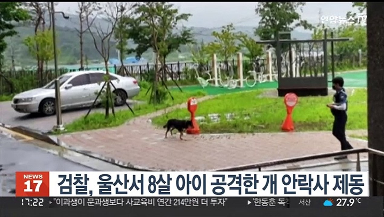울산서 8살 아이 공격한 개…검찰 안락사 진행 제동