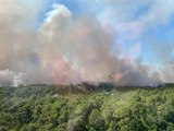 Son dakika haberi! Fransa, İspanya ve Portekiz'de orman yangınları sürüyor