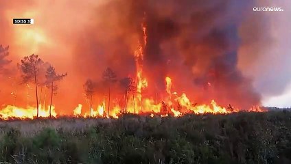 Waldbrände in Südeuropa: Evakuierungen und verbranntes Vieh