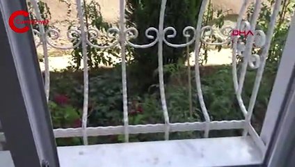 İstanbul Avcılar'da kombiye sıkışan yavru kediyi İtfaiye kurtardı