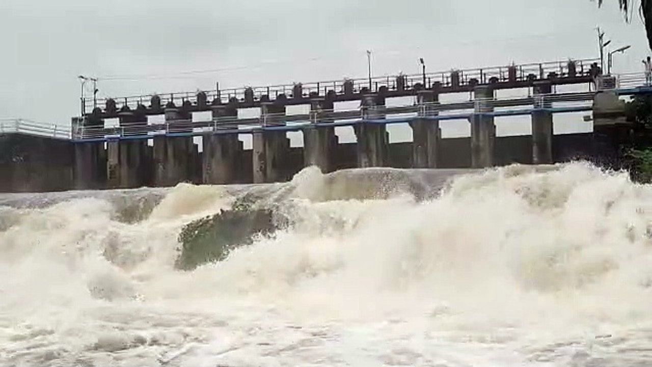 एक जून से 16 जुलाई तक प्रदेश में 205.73 मिमी बर...