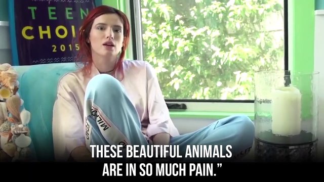 10 Celebs Who Would Rather Wear NOTHING Than Wear FUR