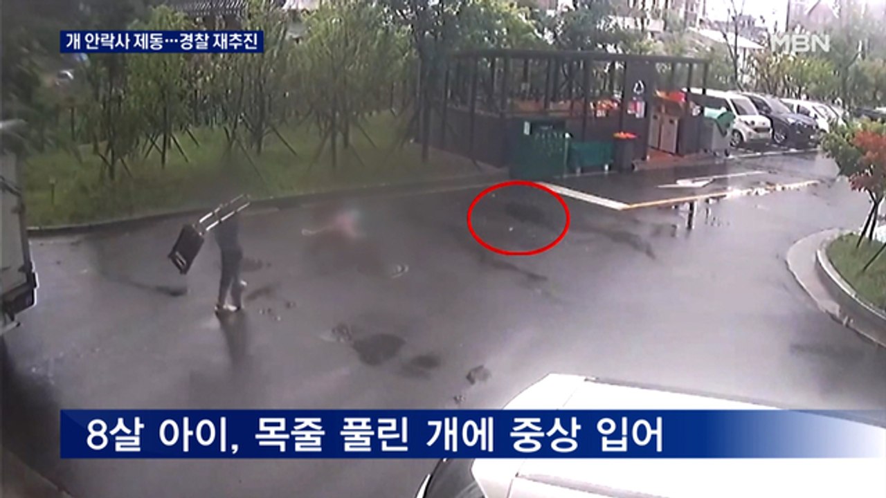 울산 8살 아이 문 개 '안락사' 제동 건 검찰…경찰은 재추진