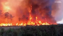 Fin de semana infernal en Europa: Incendios forestales fuera de control y una mortal ola de calor