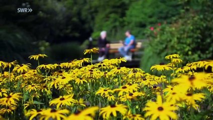 7 Tage... unter Depressiven