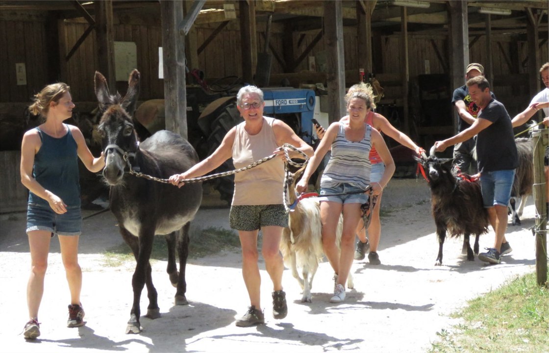 Incendies en Gironde : Près de Landiras, la fantastique action de ce poney-club pour protéger les animaux