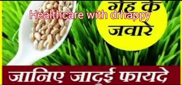Wheatgrass juice benefits व्हीटग्रास क्या है व्हीटग्रास के फायदे धरती की संजीवनी है गेहूं के जवारे
