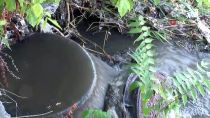 O bölgede denize girenler dikkat! İstanbul’da lağım suyu rezaleti