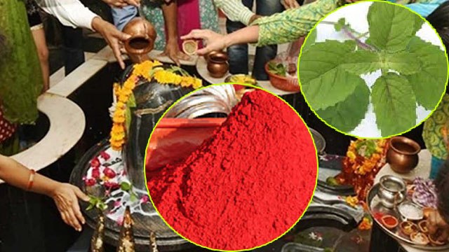 Sawan Pehla Somwar 2022: सावन पहला सोमवार क्या करना चाहिए क्या नहीं करना चाहिए | Boldsky *Religious