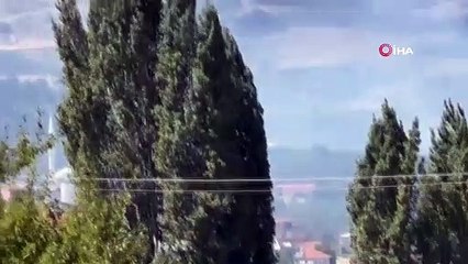 Bursa’da zeytinlik yangını