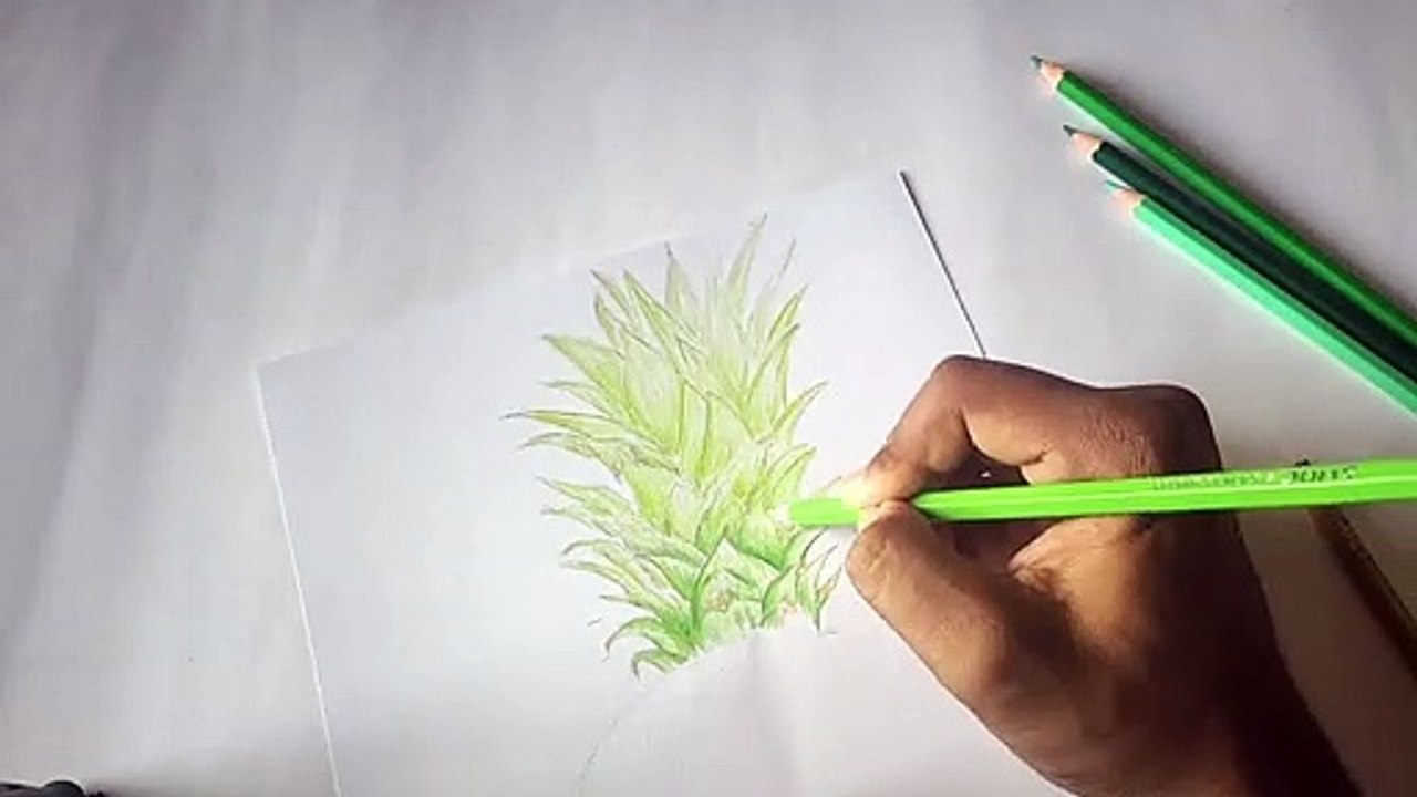 Pineapple Drawing With Colour Pencil