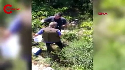 Bartın'da domuz tuzağına yakalanan ayı kurtarıldı