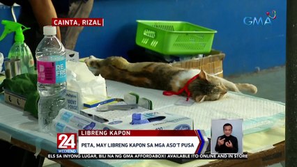 PETA, may libreng kapon sa mga aso't pusa | 24 Oras Weekend