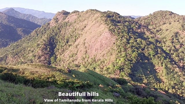 #Western Ghats #Kerala-Tamilandu Boarder