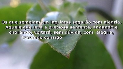salmos 126