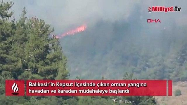 Balıkesir'de orman yangını! Havadan ve karadan müdahale ediliyor