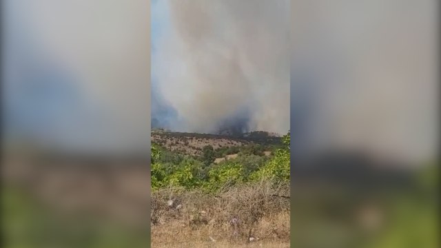 Balıkesir'de orman yangını saatlerdir devam ediyor