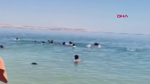 Son dakika haber | ZONGULDAK'TA MAÇTA KAVGA: 2'Sİ JANDARMA 3 YARALI, 17 GÖZALTI