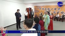 习近平主席视察中国新疆/Chinese President Xi Jinping inspects Xinjiang of China